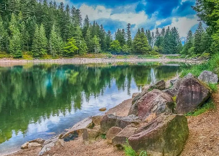 Kemp Mobil-home 6 Personnes Avec Terrasse A La Chapelle-devant-bruyeres - Api-1-52-1002 *