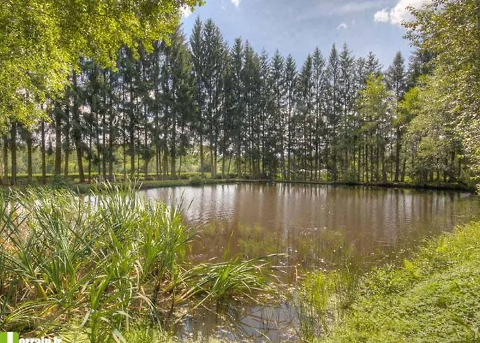 Mobil-home 6 Personnes Avec Terrasse A La Chapelle-devant-bruyeres - Api-1-52-1002 Kemp Bruyeres